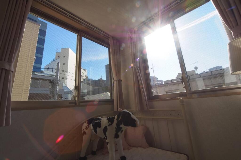 【Great Location!】Near Shinjuku Sta./Girls #302 Apartment Tokio Exterior foto